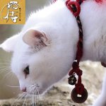 画像3: 猫侍オフィシャル「玉之丞首輪型アクセサリー撮影用レプリカ限定品」（白猫/ねこ/猫好きTV/ドラマ/映画/あなごちゃん/古銭/寛永通宝/北村一輝） (3)