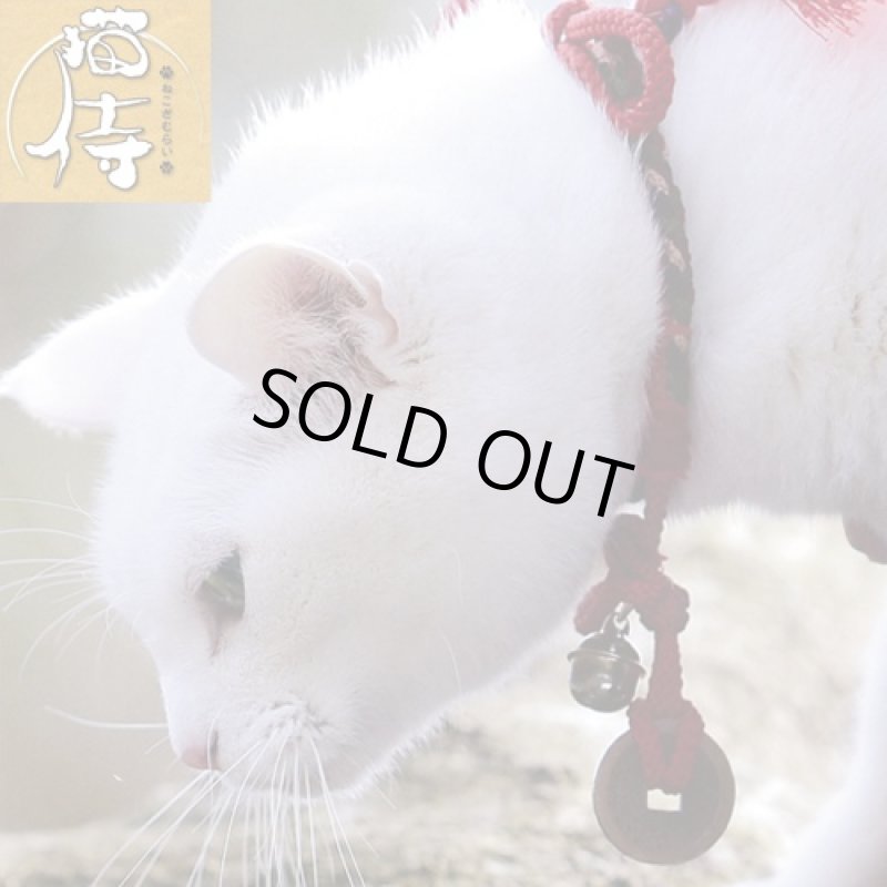 画像3: 猫侍オフィシャル「玉之丞首輪型アクセサリー撮影用レプリカ限定品」（白猫/ねこ/猫好きTV/ドラマ/映画/あなごちゃん/古銭/寛永通宝/北村一輝） (3)