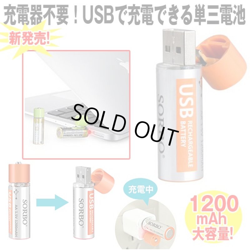 画像1: ダイレクトUSB充電単三電池1200(2本組み) (1)