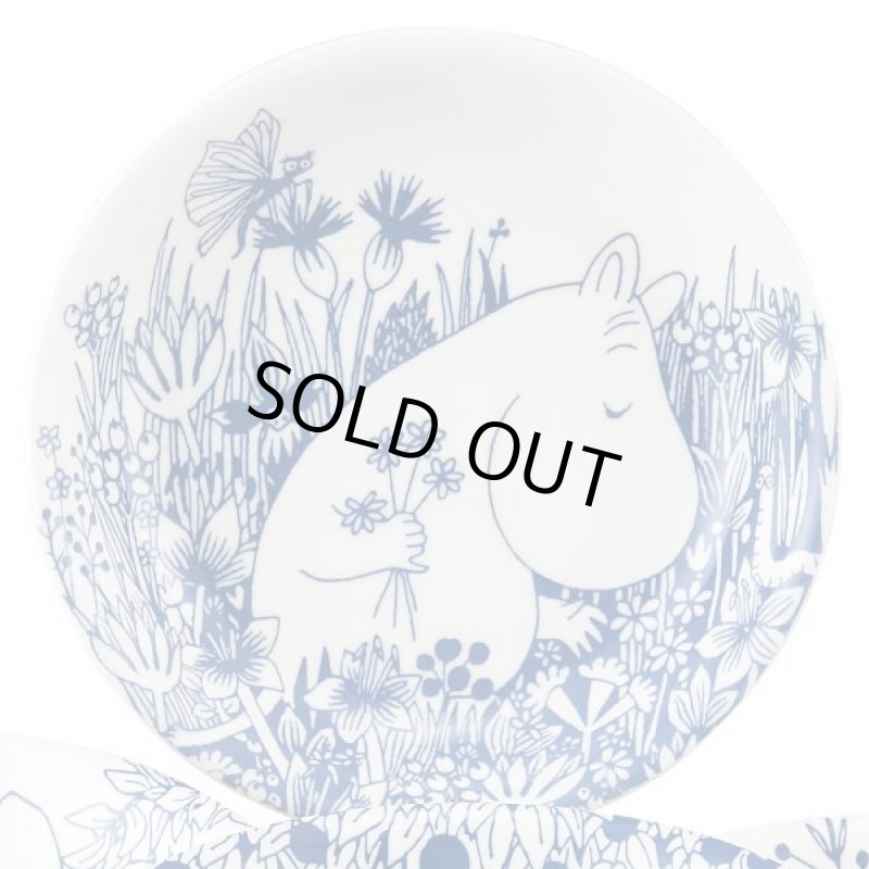 画像2: ムーミンパスタプレートセット(ムーミンオフィシャル,ボタニカルシリーズ,ムーミンの食器,北欧キャラクタームーミングッズ,パスタ皿) (2)