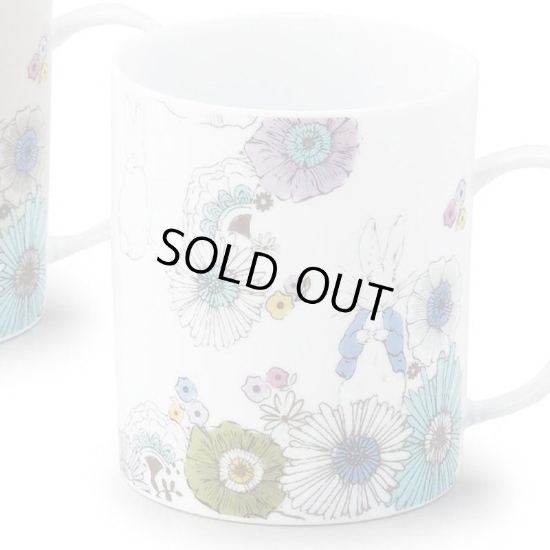 画像2: ピーターラビットリニアメドウペアマグセット (ギフト,母の日,プレゼント,お祝い品,大人の食器,コップ,レンジOK,食洗機OK) (2)