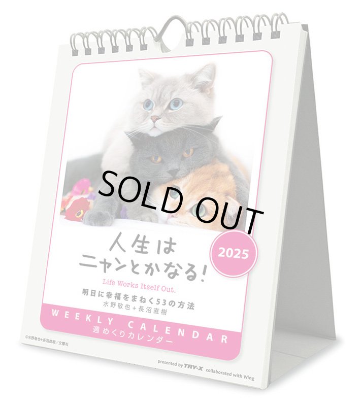 画像1: 2025年人生はニャンとかなる！ 卓上/壁掛カレンダー (1)