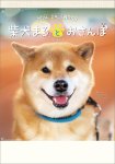 画像1: 2024年柴犬まるとおさんぽカレンダー (1)