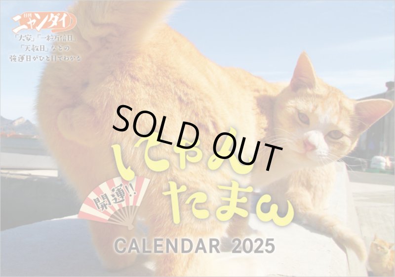 画像1: 2025年開運!! にゃんたまω カレンダー2025カレンダー (1)