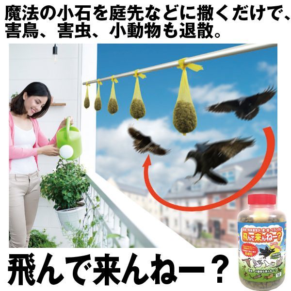 飛んで来んねー？16729