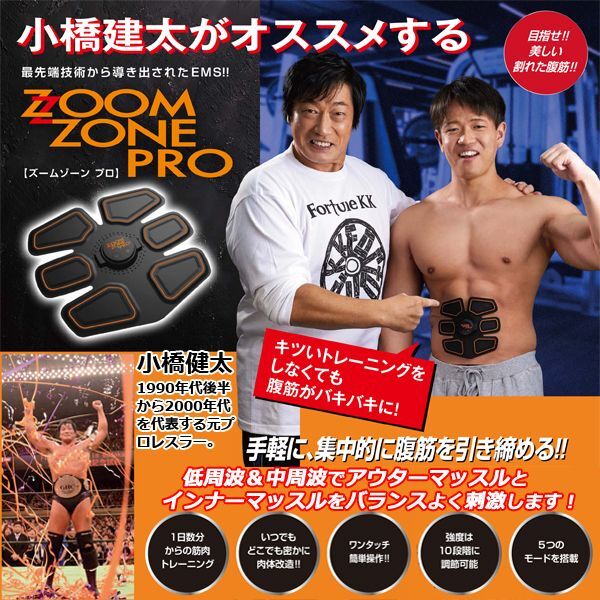 EMS ZOOMZONE PRO ZZP-01 インナー