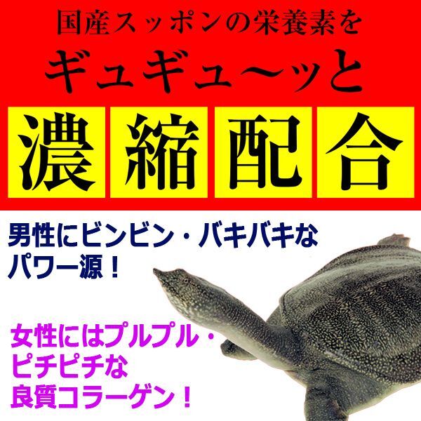 高級国産スッポンエキスで元気復活！高濃縮打錠スッポン末[3パック/計360粒]RSG-15-3