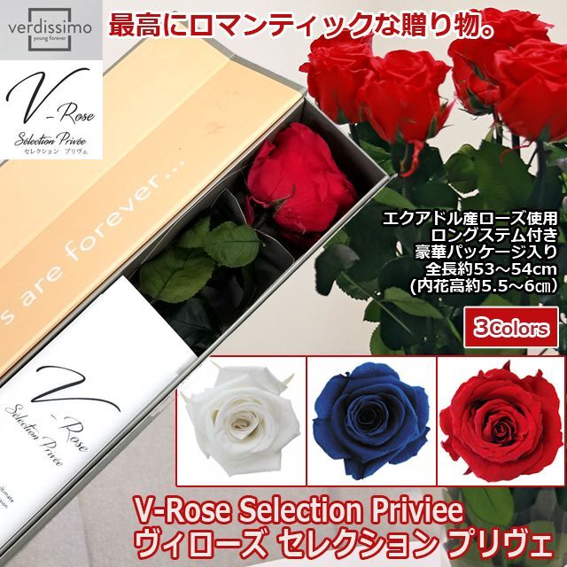 プリザーブドフラワー「V-Rose Selection Priviee ヴィローズ