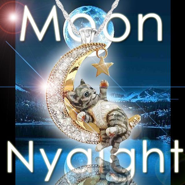 画像1: 幸運を呼びよせる月猫ネックレス「Moon Nyaight-ムーンニャイト-」 (1)