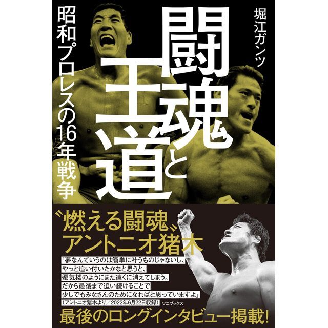 全日本プロレス王道30周年ファン感謝ツアー パンフレット