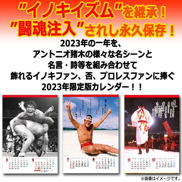 最大85％オフ！ アントニオ猪木 ポスター カレンダー 技 新日本