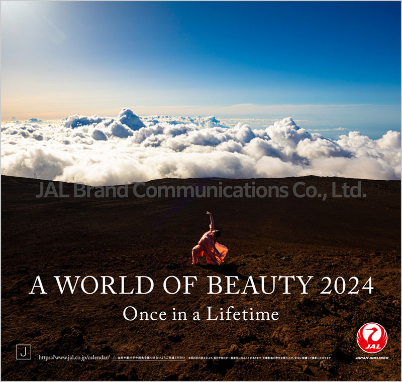 JAL「A WORLD OF BEAUTY 2023」卓上カレンダー　2冊セット