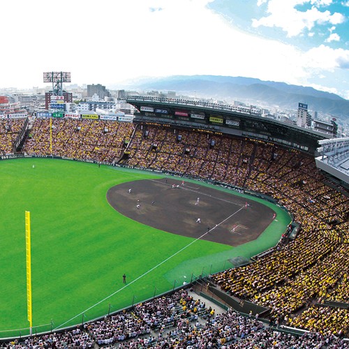 阪神甲子園球場承認300ピースジグソーパズル 熱戦 甲子園 フレームセット 高校野球 球児 阪神タイガース アップルワン Ado F300 306