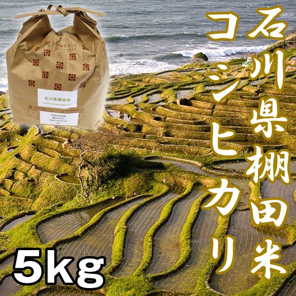 石川棚田米コシヒカリ5kg　(お米,,こしひかり,新米,お取り寄せブランド米,石川県能登半島,世界農業遺産認定米,受注後精米)KMD-IS5