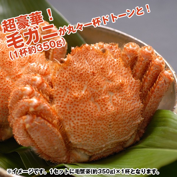 かに鍋セット4人前「毛蟹」(送料込)　(毛ガニ姿一杯350g,,,かに,カニ,紅鮭,海老,蟹真丈,ギフト,お歳暮,クール便)KMD-KNK