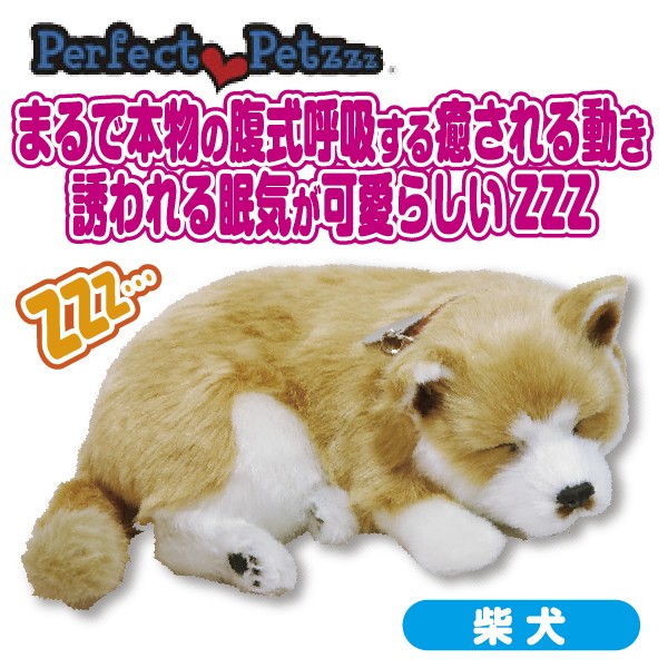 専用 パーフェクトペット 柴犬 Sサイズ（約22cm） ぬいぐるみ