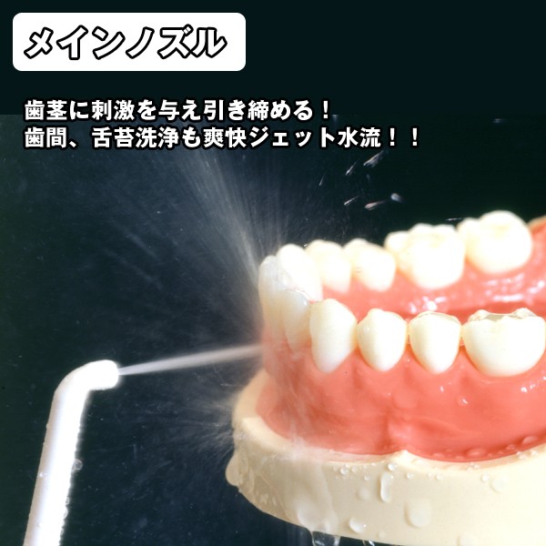 送料無料リコーエレメックス デントレックス Dentrex 歯 脈動ジェット水流 歯間 歯周ポケット 口臭予防 虫歯予防 Ron 404