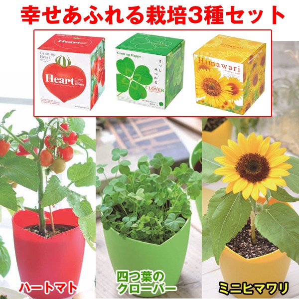 幸せあふれる栽培3種セット 植物栽培キット 開運栽培セット 四つ葉のクローバー 室内用ミニひまわり ハート型ミニトマト ギフト ハートポット Toko Sbs