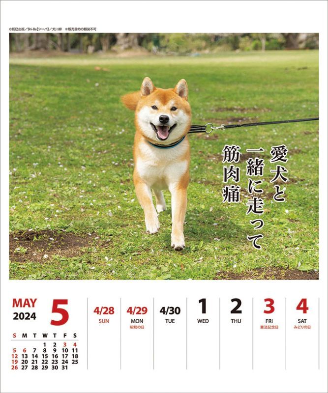 2023 カレンダー 壁掛け ☆ 犬 - 2